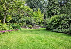 Optimiser l'expérience du jardin à Pagney-derrière-Barine